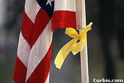 !cid_002001c4ccc5$c1006a30$dfbdf318@DIRECTOR