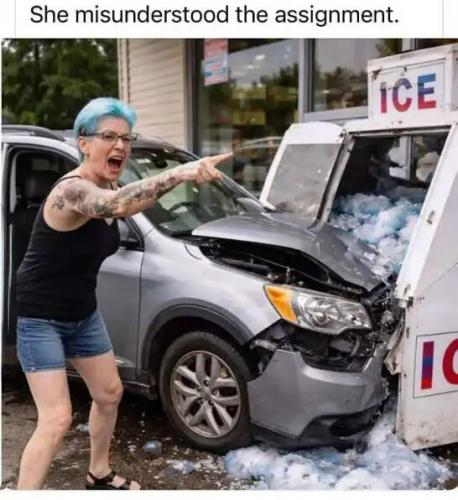 ice-machine-crash-liberal-woman-misunderstood-assignment.jpg