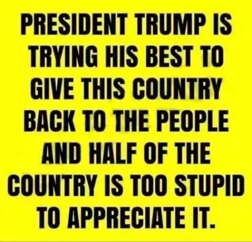 democrat corruption 156