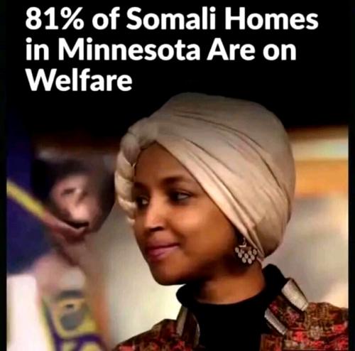81 Percent of Somali on Walfare