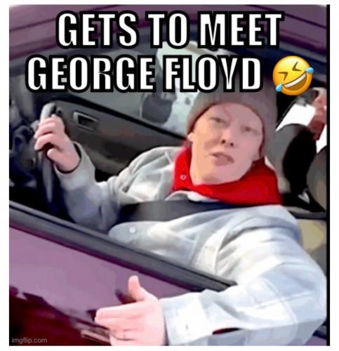 Be good - Renee Good, the relation of an idiot femi-nazi, but she is now in road to meet george the criminal monkey Floyd.