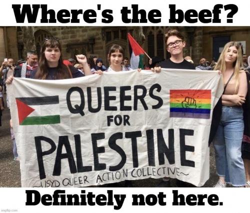 GAYS FOR HAMAS