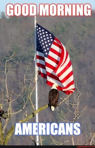 768cde92a745d0f190f8a4897c97399f9ea18cb364738499c2335d36e8787f9c_1