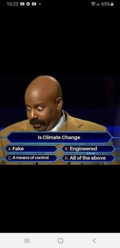 I say all four what do you say