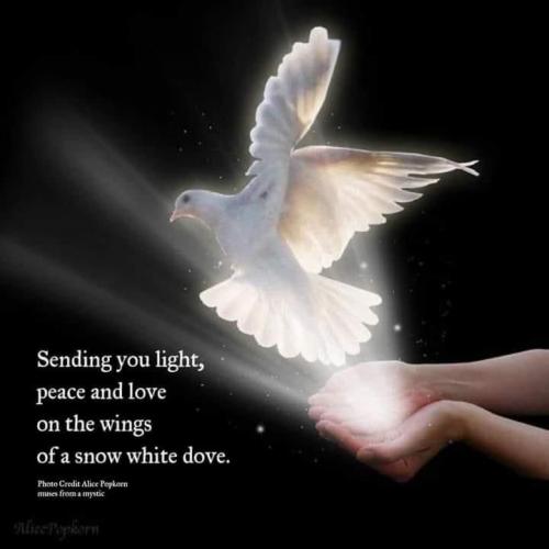 Good Night 97 - Peace and Love