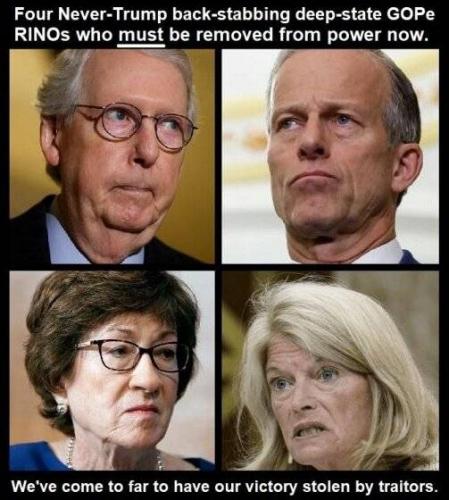 rino republicans 101