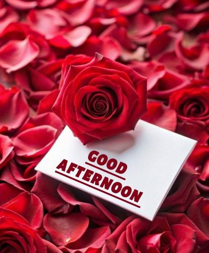 fR72QXRXFYY5W15TzfnY_12_686976362881b74df0002ec4058d1273_image_original