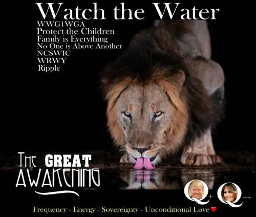Watch the Water Meme created by Kris Williams