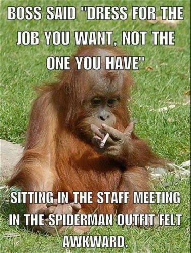 9919964d19c866b00bb2250b3032cd4d