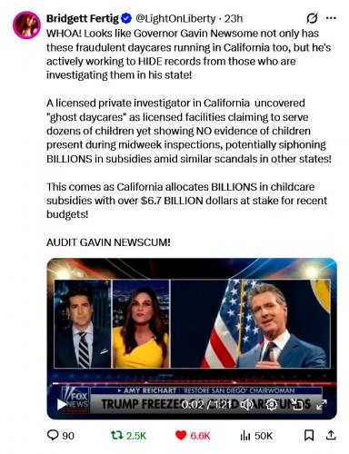 Licensed Private Investigator in California Uncovered ~Ghost Daycares~