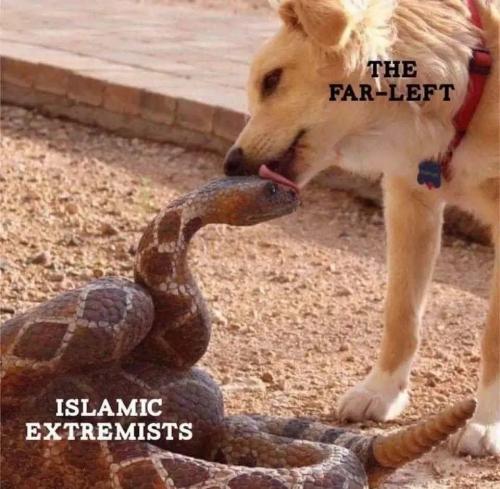 7b7273f4-e819-4fff-8f0f-04467121106d_960x939