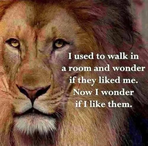 0c09531c-9a75-47a2-aec8-8cc991772347_736x727