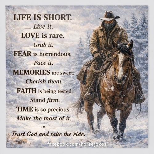 2a3157487ec24de36b86938e963e1512