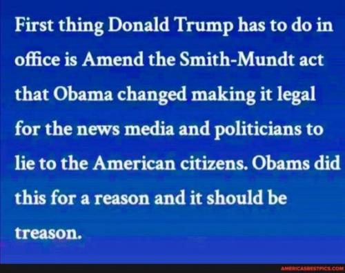 liberal media 46
