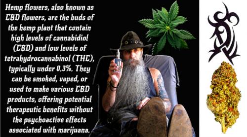 Hemp Flowers ~CBD and THC~ Movie Magic Cover