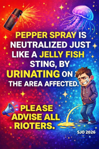 3e5ebf3653c3f3fbaafb6ce881376456_1024