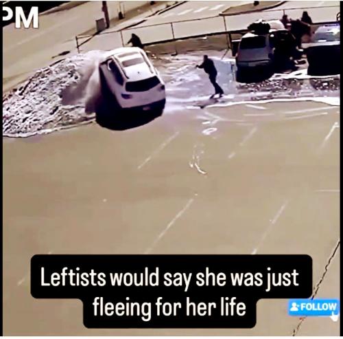 Leftist Loons Weoponizeing Vehicles