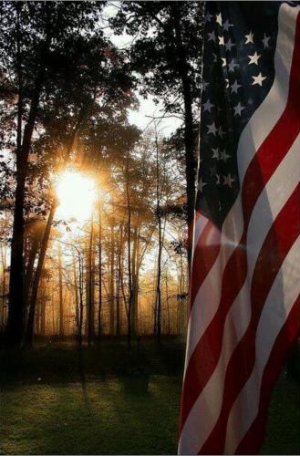 Flag - With trees during sunset