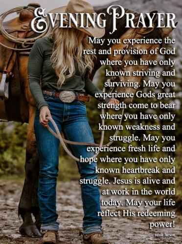 7a1c1effb3c885a41f8ce48cc066e84e