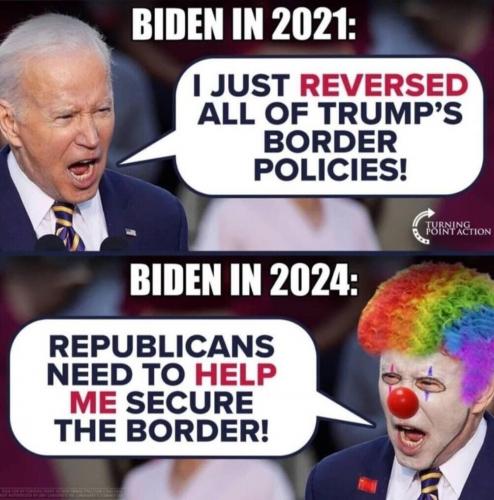 Bidumb in 2021 & 2024