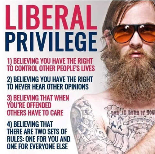 liberal-privilege-believing-control-other-peoples-lives-rules-dont-apply-to-you-offended-never-hear-other-opinions-2874485514