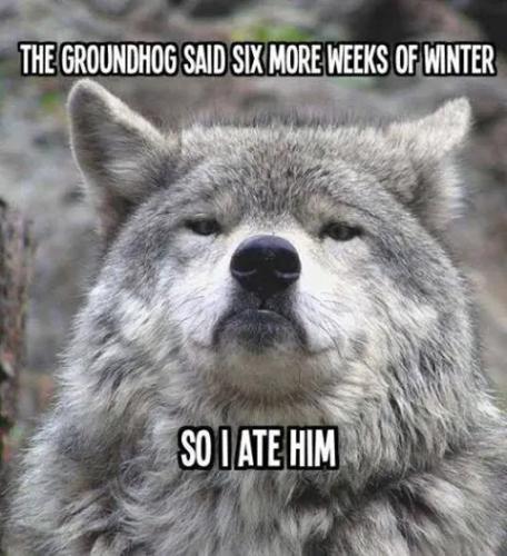 dac15a50-e749-4cea-9fd2-28b2af0907d5_480x526