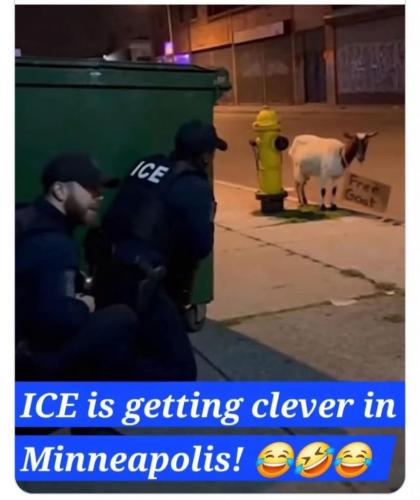 c3535bd4d94a3f3479a41531be6d04f0_1024