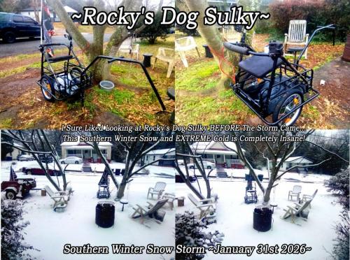 Rocky's Dog Sulky ~Southern Winter Snow Storm Jan 31st 2026~ to Post