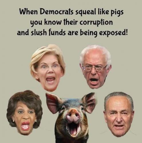 democrat corruption 66