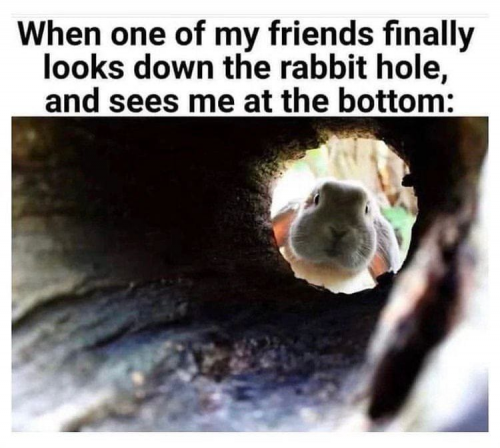 That will be the day