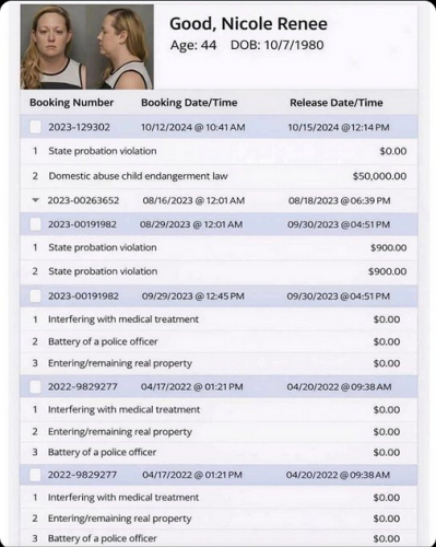 1-12-26 Nichole Renee Good Wrap Sheet