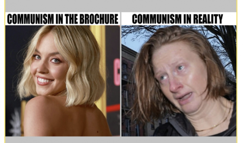 Screenshot 2026-01-17 at 8.56.15 PM