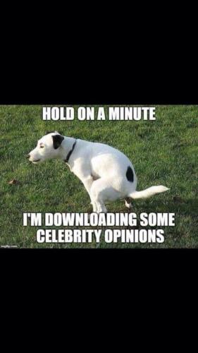 HOLD ON A MINUTE   TS