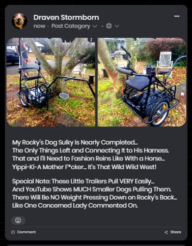 Rocky's Dog Sulky Near Completed ~Post~