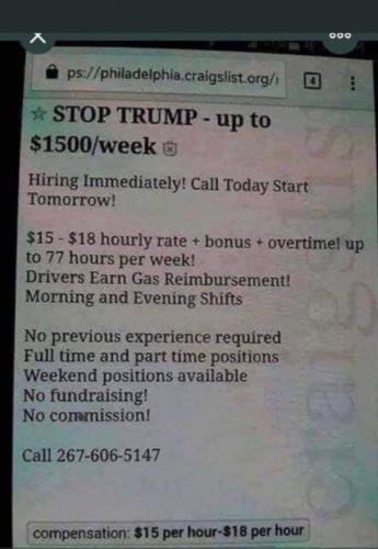 CRAIGSLIST MINNESOTA PIGS