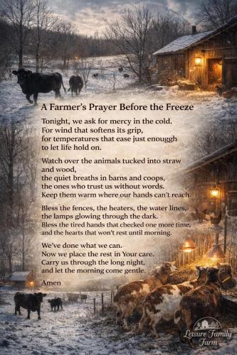 A Farmer's Prayer Before the Freeze