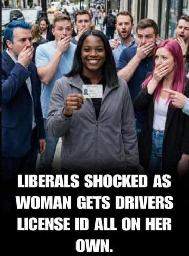 voter id save act