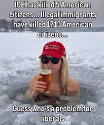 illegals killed ice killed