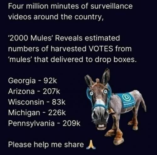 election fraud 48
