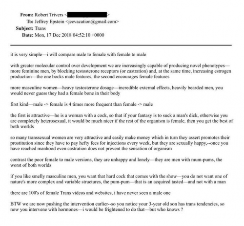 2-3-26 Jeffrey Epstein on Trans People