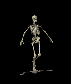 f50155533fd4987886d5044324600daa
