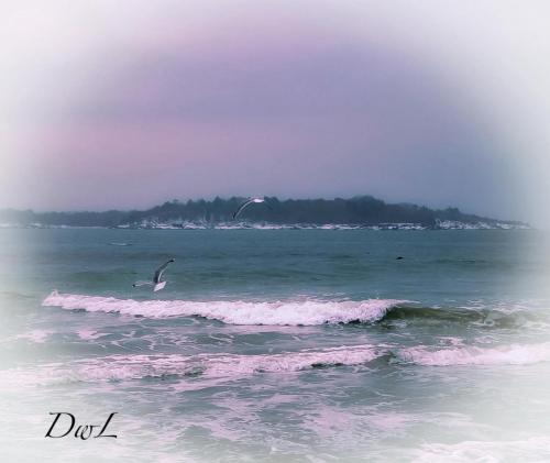 inbound1446584833869717090