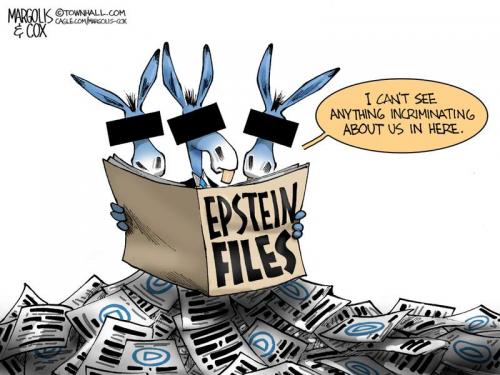 MC-EpsteinDems-021126-thm-800x0