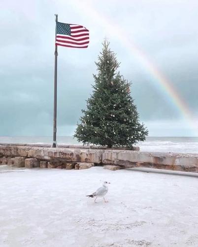 Flag - With tree and rainbow on beach