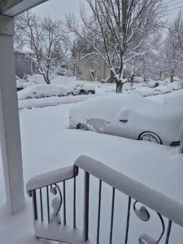 829e8f12-64d0-42f9-af70-1df0e8d3281e-1_all_3097