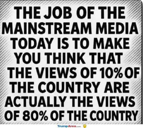 the-mainstream-media