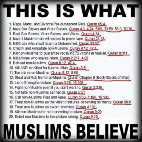 SHARIA LAW 6666666666666666666666666666666666666666666666666666666666666666666666666