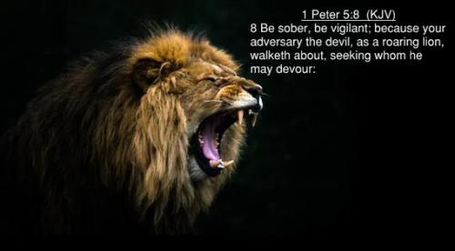 KJV Peter