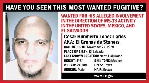 MS 13 KILLER OF 6