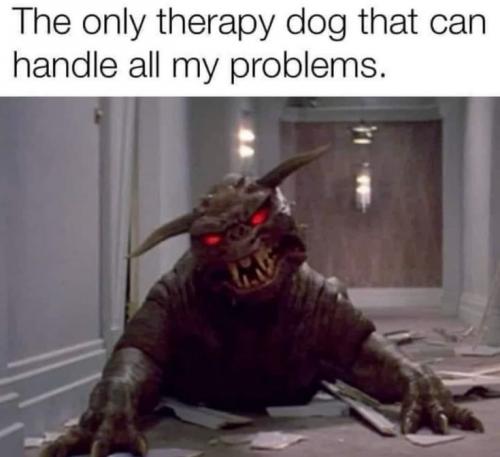 therapydog
